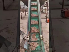 l'anello 50HZ muore la macchina verticale 3Phase della pallina di legno che fa la macchina 450-700mm