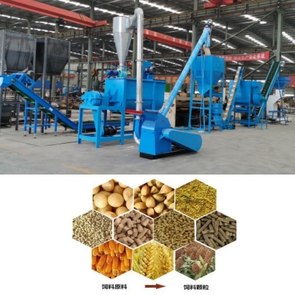 Linea di produzione dell'appalottolatore del mulino della pallina del pasto del pollame delle pecore del manzo del pollo linea di produzione della pallina dell'alimentazione