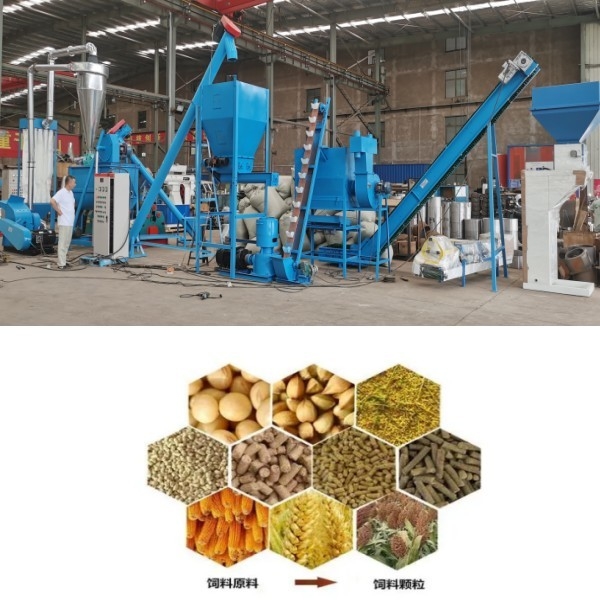 Linea di produzione dell'appalottolatore del mulino della pallina del pasto del pollame delle pecore del manzo del pollo linea di produzione della pallina dell'alimentazione