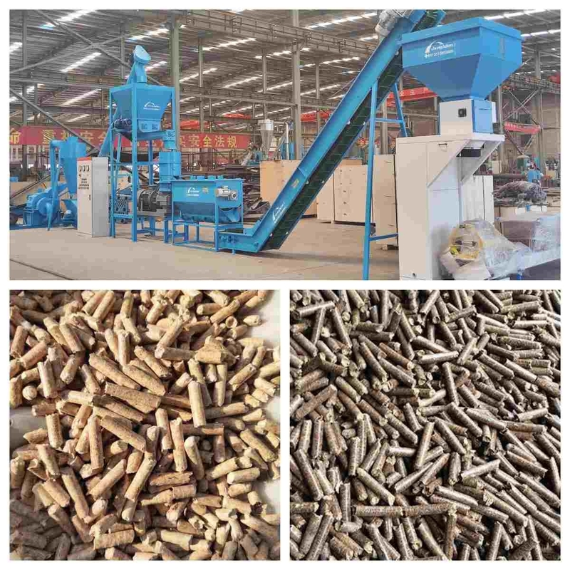 Linea di produzione di legno della pallina del combustibile biologico di Industial 1~10T/H per fare pallina per il riscaldamento