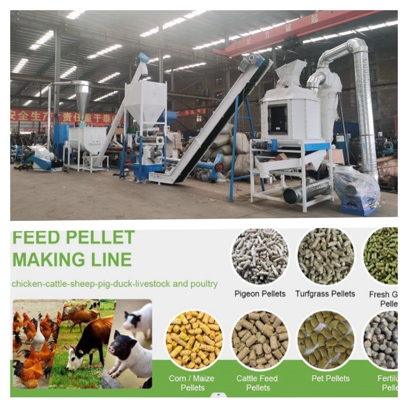 Pellettizzazione coerente e precisa con capacità della linea di produzione di mangimi pellettati 1-20 t/h