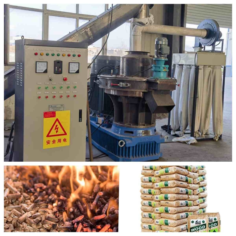 linea di produzione della pallina della biomassa di 2-3tph Ring Die Pellet Machine Whole con CE