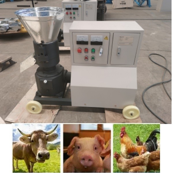 il diesel della capacità 80-1000kg/pallina con comando a motore dell'alimentazione della macchina della pallina dell'alimentazione animale macina facile aziona la fabbricazione dell'alimentazione del pollame