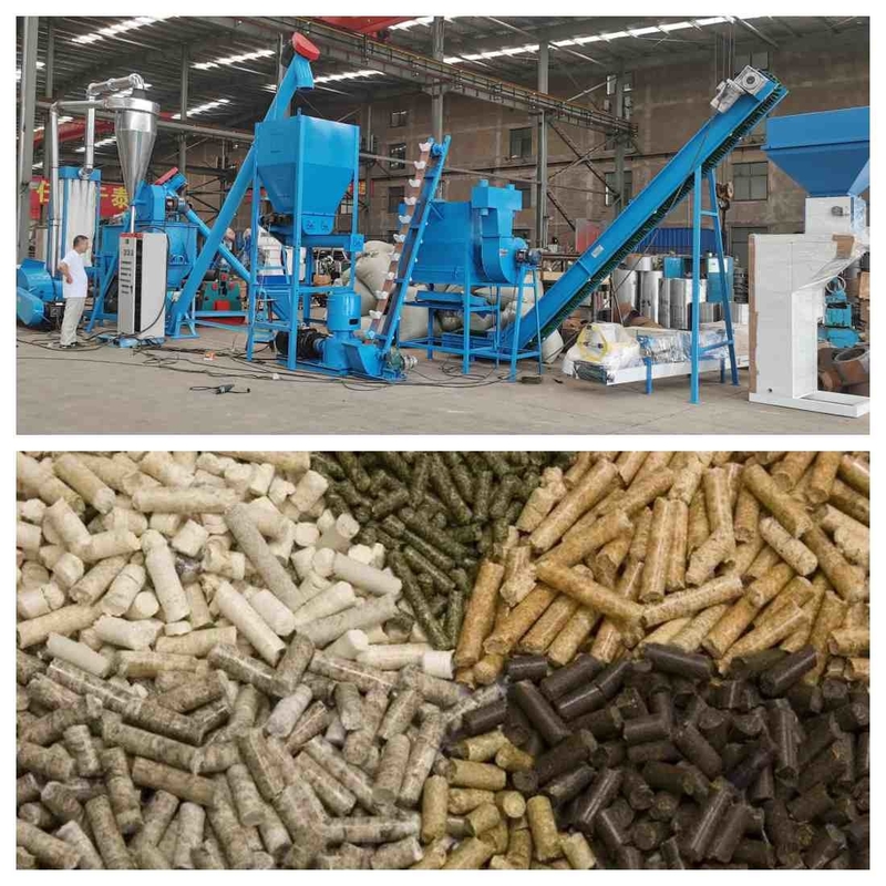 linea di produzione della pallina dell'alimentazione animale 1000kg/H granulatore della pallina dell'alimentazione di 1-12mm