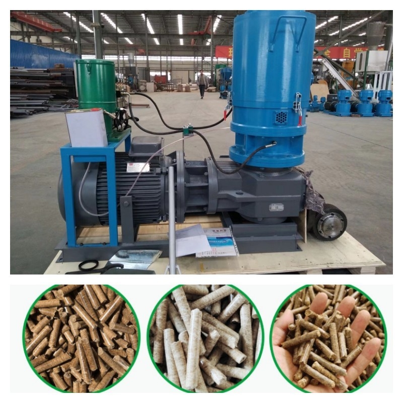 Legno di legno Chip Pellet Machine High Density della biomassa del mulino della pallina del dado del piano 500KG/H