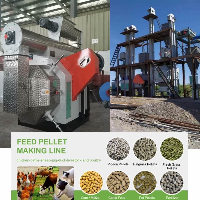 100kg alla linea di produzione della pallina dell'alimentazione di 10 Ton Pellet Mill Machine Animal combustibile della biomassa