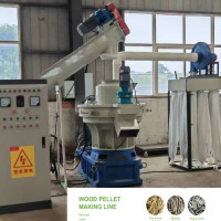 linea di produzione della pallina della biomassa 55kw 800-1000kg/H Ring Die Pellet Production Line