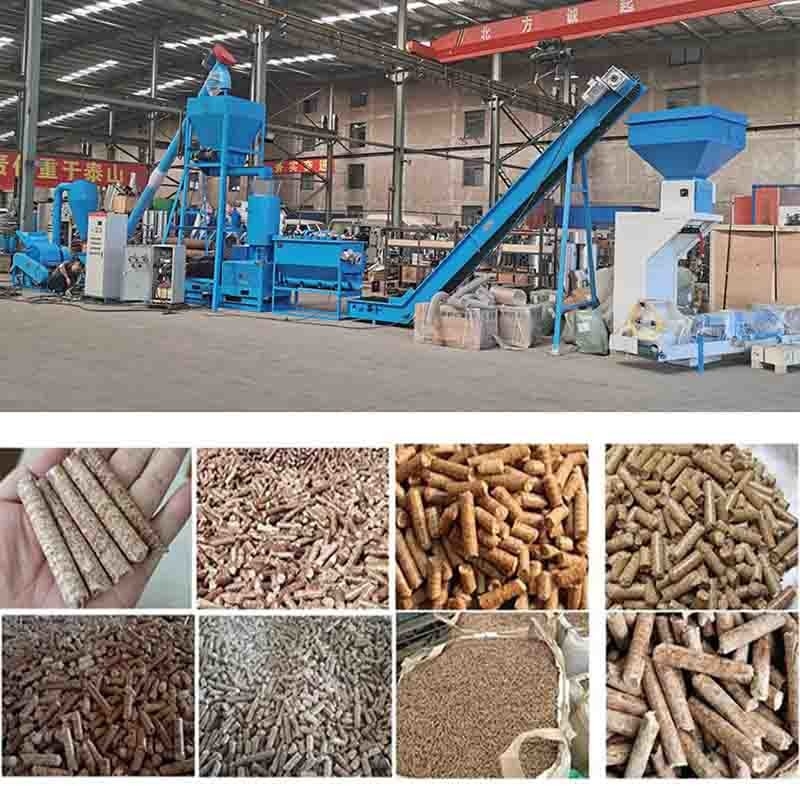 linea di produzione di legno della pallina 600-800kg/H pallina della biomassa che fa il dado del piano della macchina