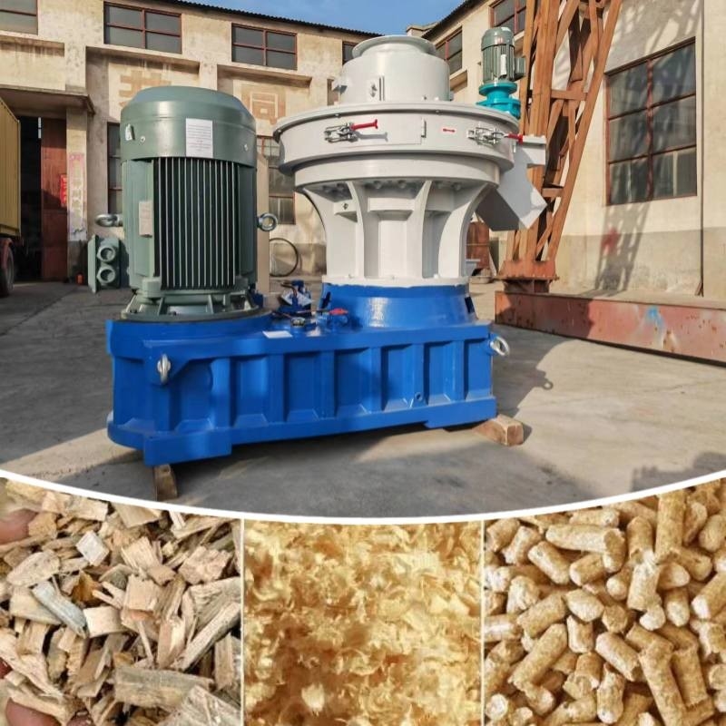 mulino della pallina di 1~3t/H Ring Die Biomass Fuel Wood con le palline di 8mm per riscaldamento domestico
