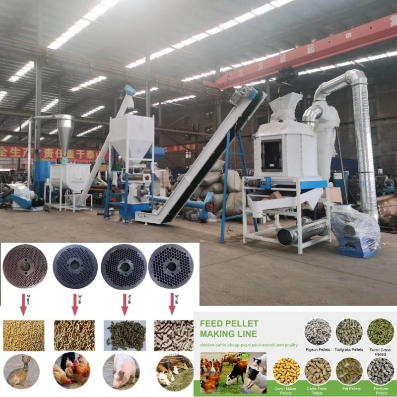 Linea di produzione della pallina dell'alimentazione da 2 tonnellate/ora per l'alimentazione animale del pollame