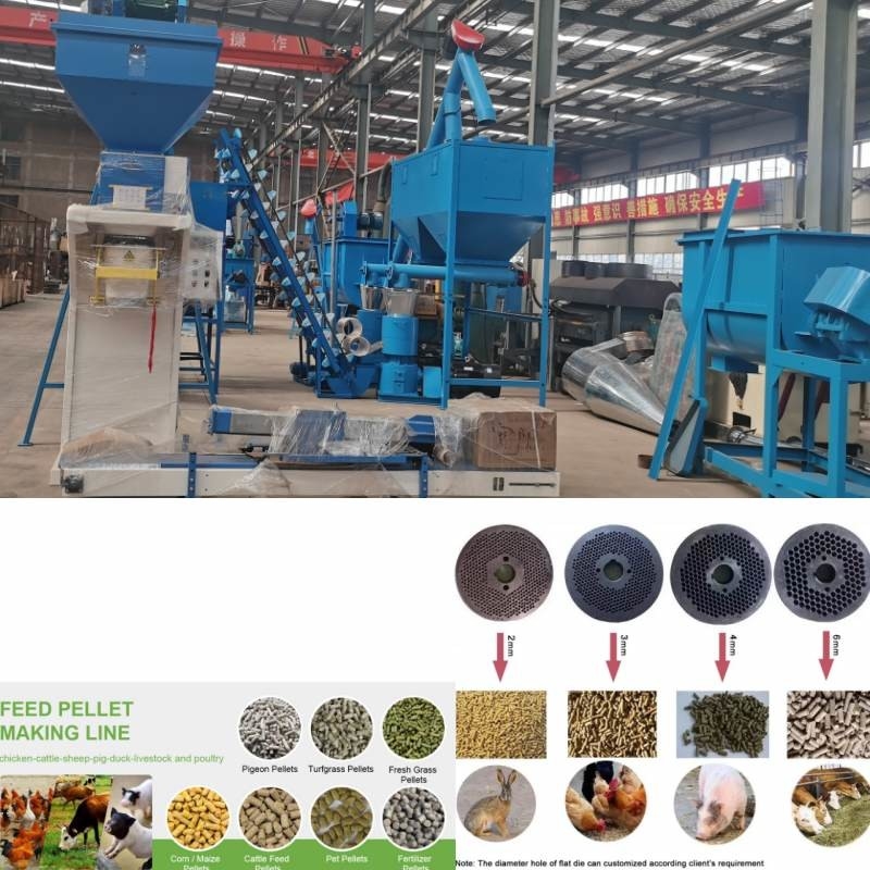 Linea di produzione della pallina dell'alimentazione da 2 tonnellate/ora per l'alimentazione animale del pollame