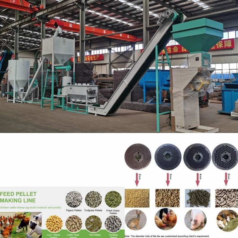 1 pallina dell'erba di Ton Livestock Animal Feed Machinery che produce il grano del cereale della macchina