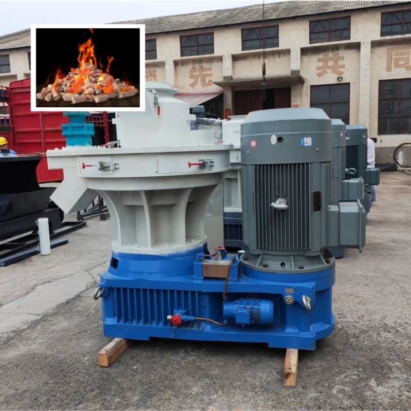 mulino di 1t/H Ring Die Biofuel Wood Pellet per Chips Waste Wood Pelletizer di legno