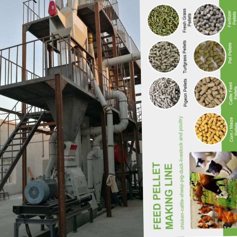 1-5 macchina orizzontale di Ring Die Chicken Feed Manufacturing del mulino della pallina di Tons/H