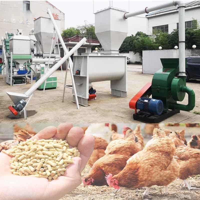 2000 kg/h Capacità Anello di stampaggio di pellet per mangimi con costruzione in acciaio inossidabile per mangimi per pollame
