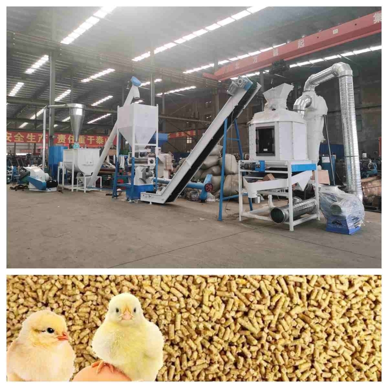 Linea di produzione della pallina dell'alimentazione del CE 5t/H Ring Die Feed Pellet Machine con il generatore di vapore