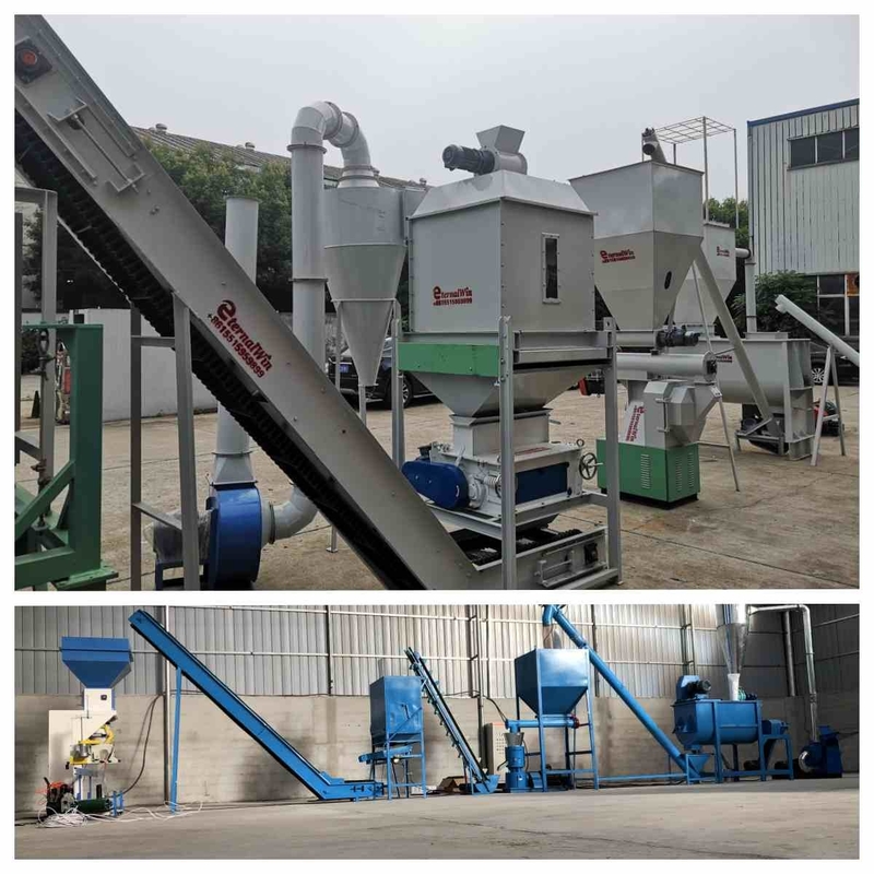 Linea di produzione della pallina dell'alimentazione del CE 5t/H Ring Die Feed Pellet Machine con il generatore di vapore