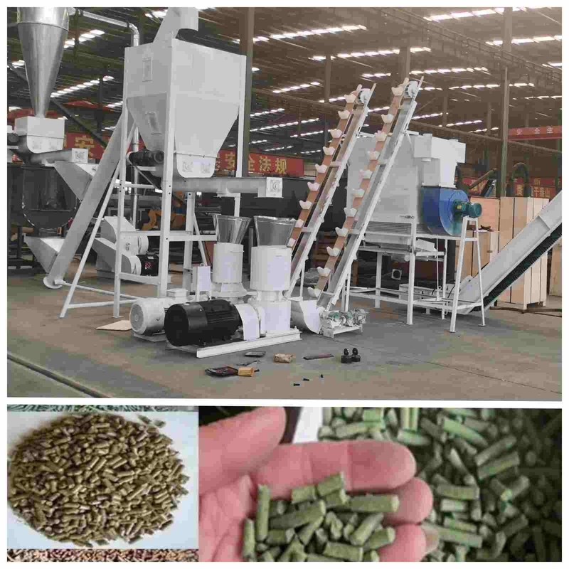 pallina automatica della macchina 2.5mm della pallina del pollame 2ton/H che fa macchina per l'alimentazione del pollame