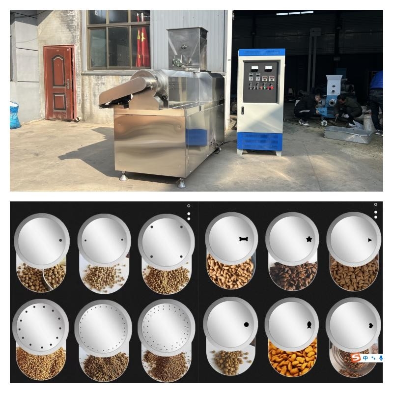 Il tipo asciutto pesce di acciaio inossidabile alimenta ad espulsore 55kw la linea asciutta di produzione alimentare dell'animale domestico