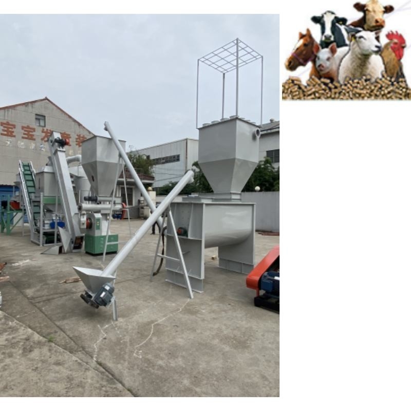 la linea di produzione della pallina dell'alimentazione animale 500kg/H Ring Die Poultry Feed Pellet macina l'alimentazione animale