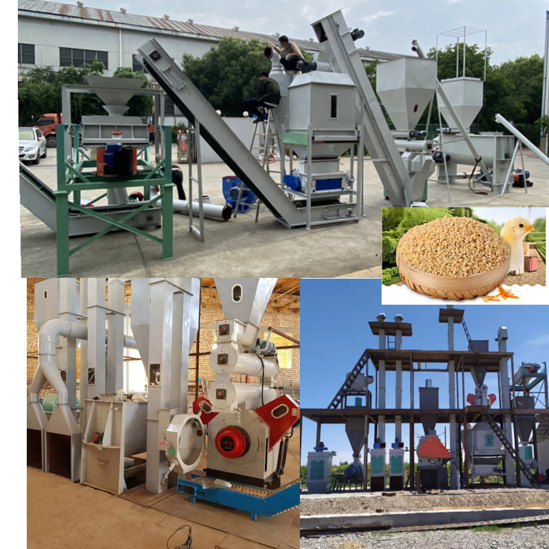 Linea di produzione di pellet di alimentazione ad alta efficienza