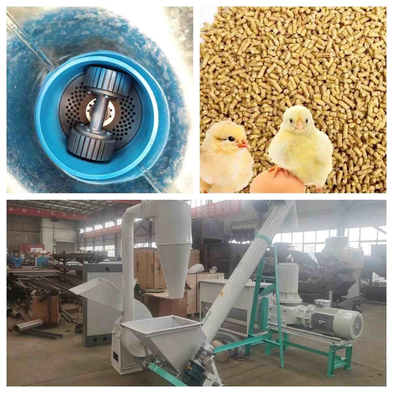 Il piano muore linea di produzione della pallina dell'alimentazione animale del creatore 300kg/H -1000Kg/H della pallina dell'alimentazione piccola