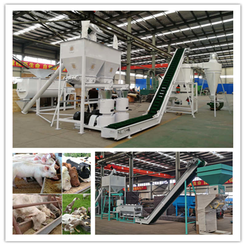 0.5-30 tonnellate/ora Linea di produzione di pellet per mangimi con mulino di pellet a ring die