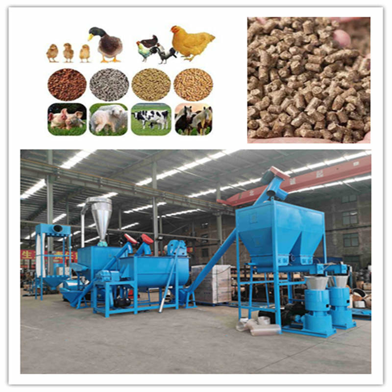 0.5-30 tonnellate/ora Linea di produzione di pellet per mangimi con mulino di pellet a ring die