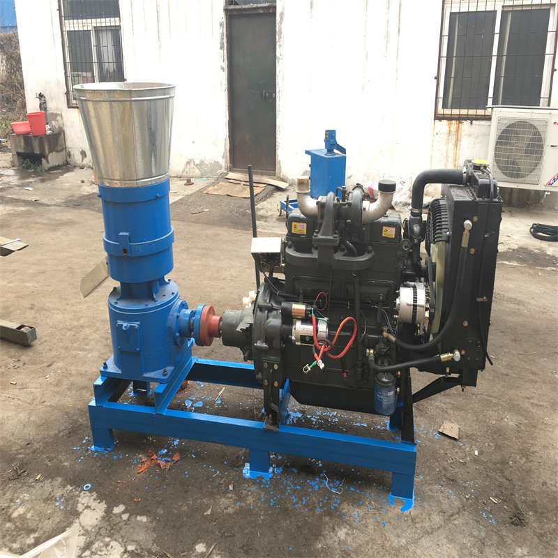 Macchine per la produzione di pellet per mangimi di pollame Macchine per la fabbricazione di pellet per pollame Macchine per la fabbricazione di pellet per la casa 15 CV 2200 r/M
