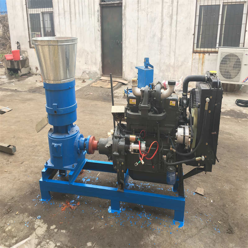 Macchine per la produzione di pellet per mangimi di pollame Macchine per la fabbricazione di pellet per pollame Macchine per la fabbricazione di pellet per la casa 15 CV 2200 r/M