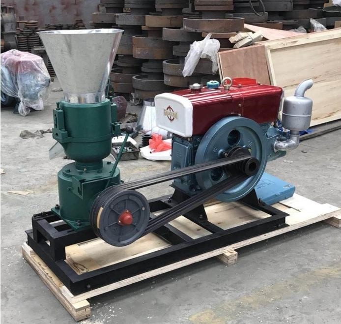 22HP Feed Pellet Mill Personalizzazione del colore per il mangime per polli