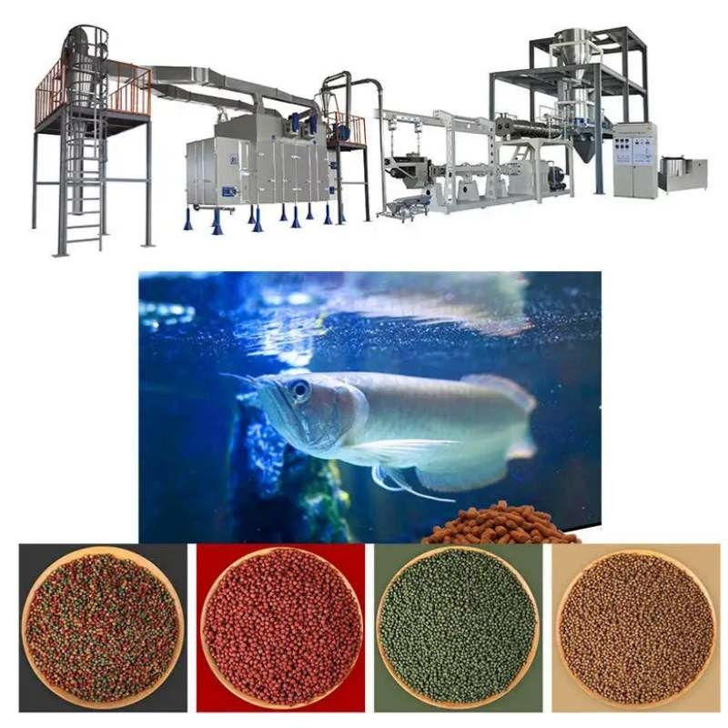 45-50 kg/h Macchina di estrussione per mangimi galleggianti linea di produzione di mangimi per pesci galleggianti acciaio inossidabile
