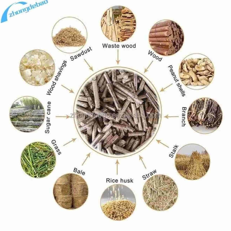 Fabbricazione di pellet di legno a rotoli 250-350 KG/h per pellet di polvere di segatura da biomassa
