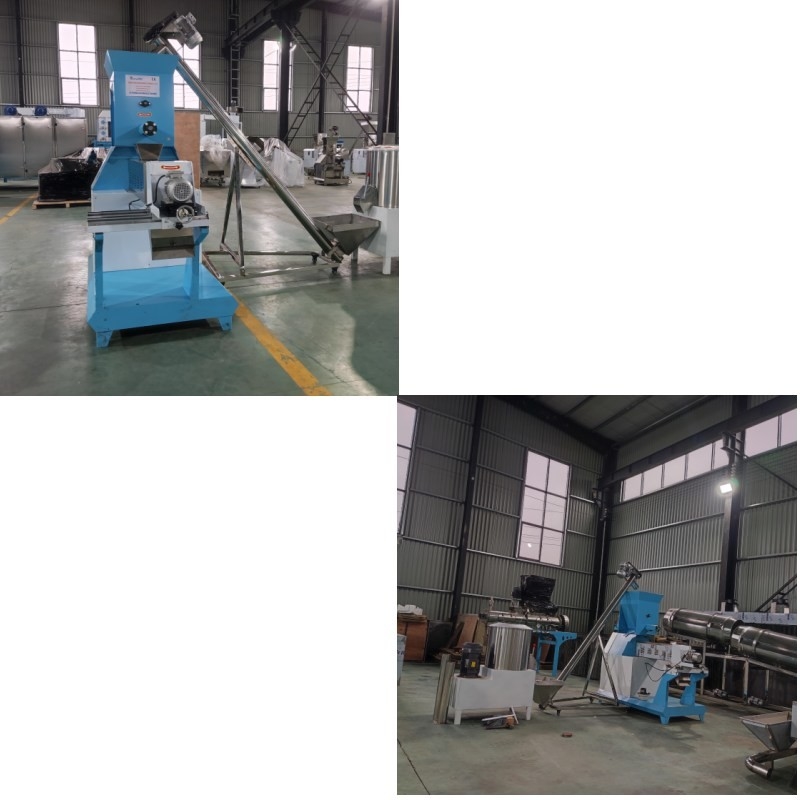 Extruder per mangimi per pesci ad alte prestazioni di tipo secco
