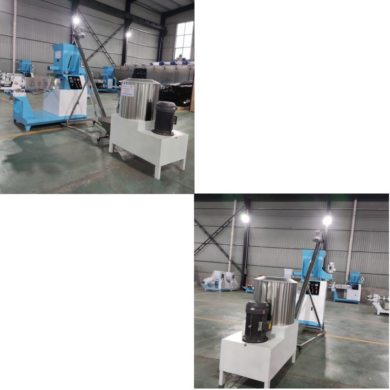 Extruder per mangimi per pesci ad alte prestazioni di tipo secco