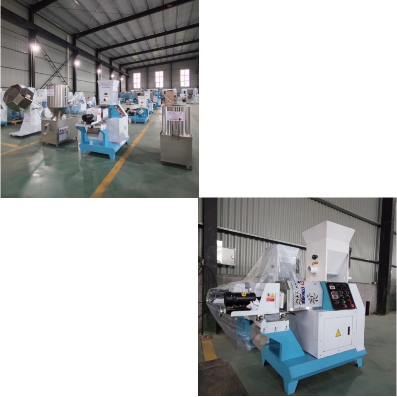 Estrusore automatico per mangimi per pesci a secco riscaldamento elettrico per la produzione su larga scala