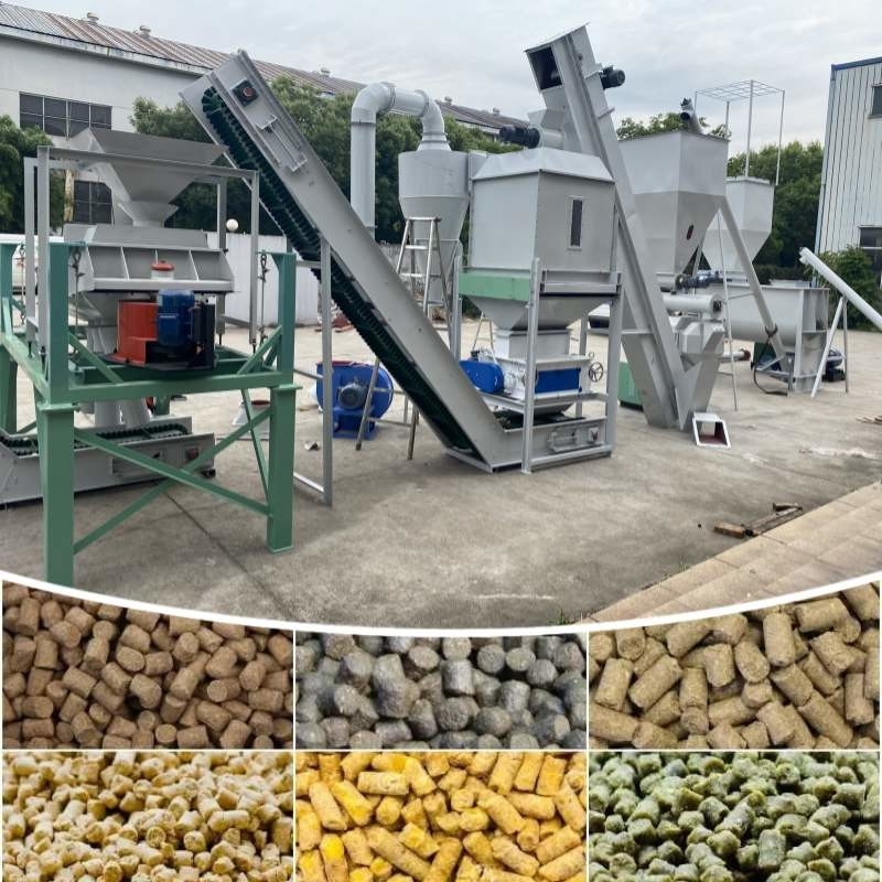 0.5-30 tonnellate/ora Linea di produzione di pellet per mangimi con mulino di pellet a ring die