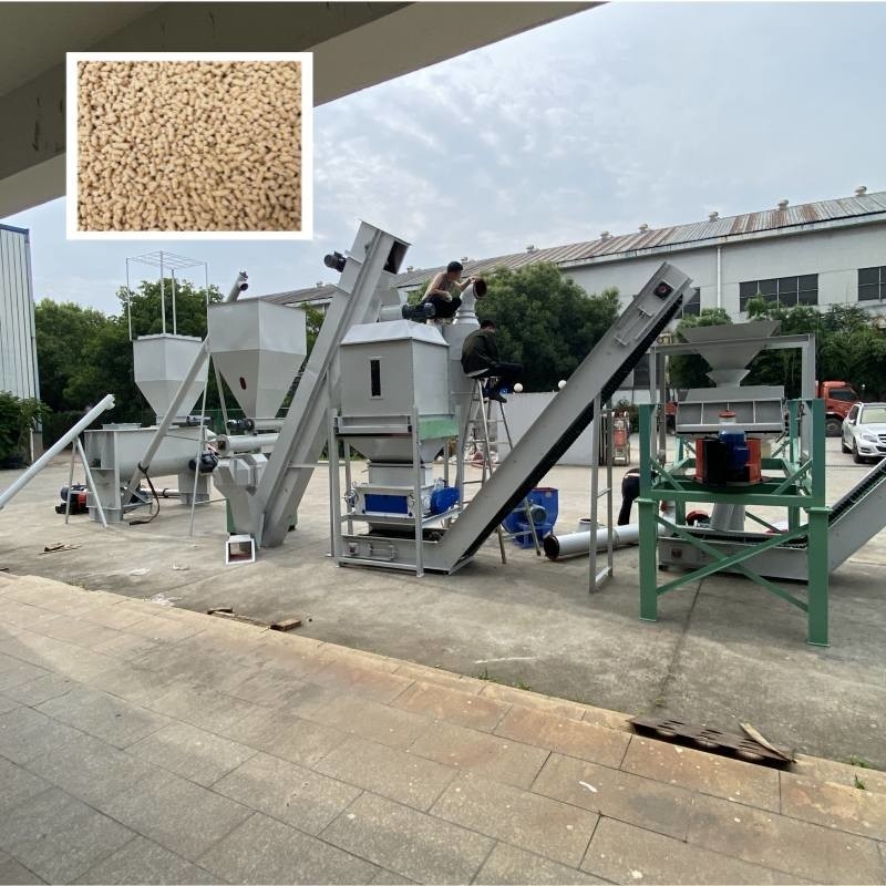 0.5-30 tonnellate/ora Linea di produzione di pellet per mangimi con mulino di pellet a ring die