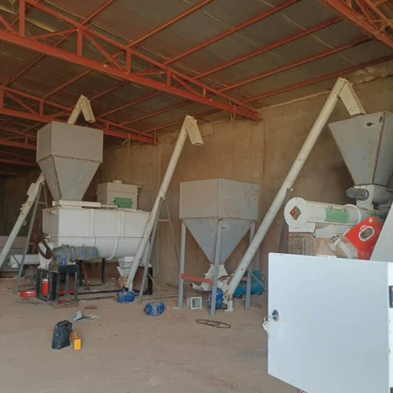 1-5 tonnellate all'ora Capacità di produzione di pellet per mangimi per bovini, suini, polli e animali per grandi impianti di produzione di pellet