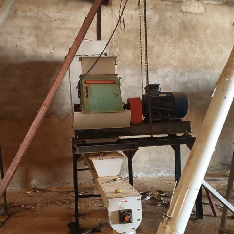 1-5 tonnellate all'ora Capacità di produzione di pellet per mangimi per bovini, suini, polli e animali per grandi impianti di produzione di pellet