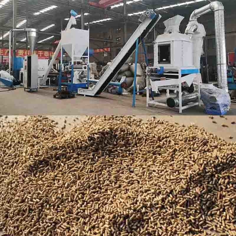 1-2 tonnellate all'ora Capacità di produzione di pellet per galline ovaiole, polli da carne, polli da carne per animali con certificazione CE