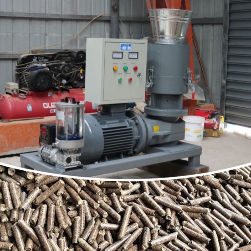 Macchina per pellet di legno rotante a rulli da 6-8 mm di diametro per un'operazione e una manutenzione facili