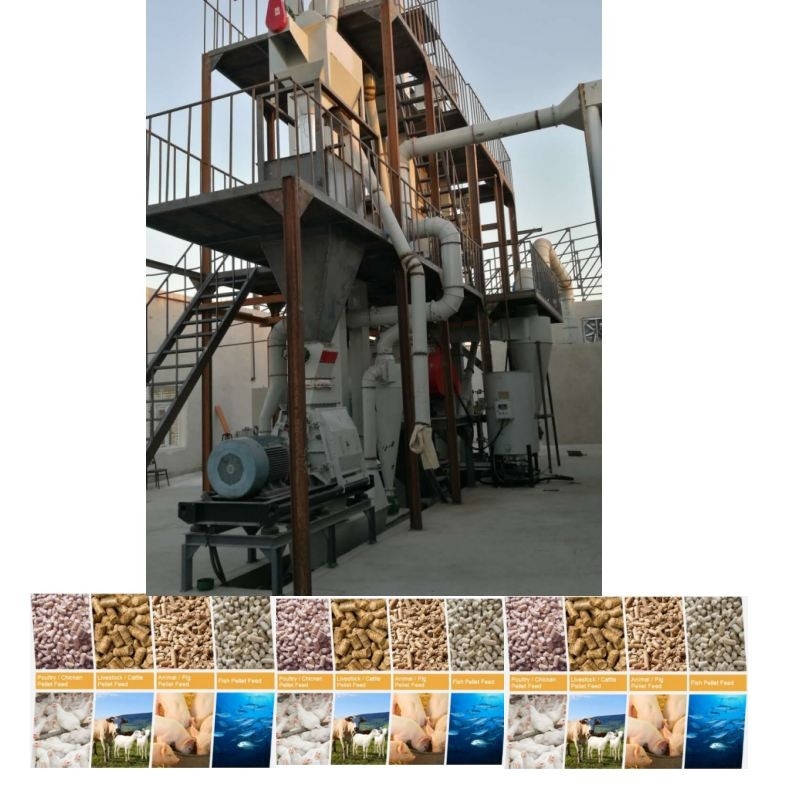 Linea di produzione di pellet per mangimi da 1 a 12 mm