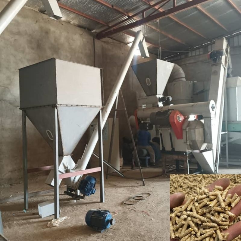 Linea di produzione di pellet per mangimi per animali