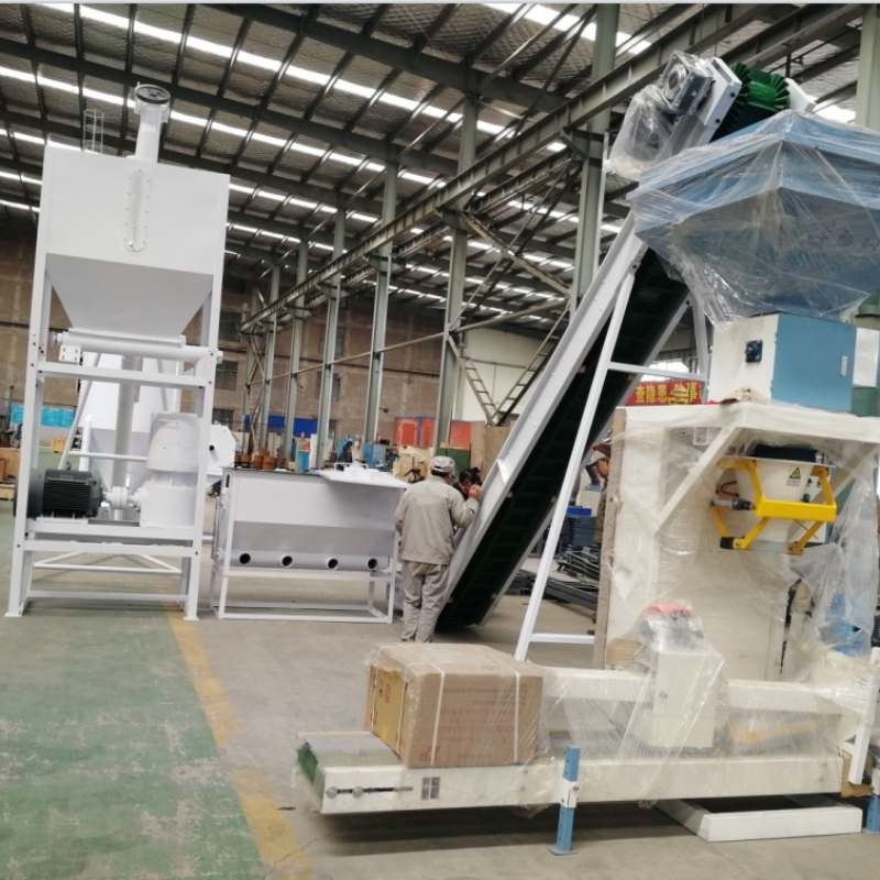 1 tonnellata/ora Granulatore speciale di biopellettini personalizzabile, Granulatore di riccioli di riso di paglia, linea di produzione di pellet per frammenti di legno