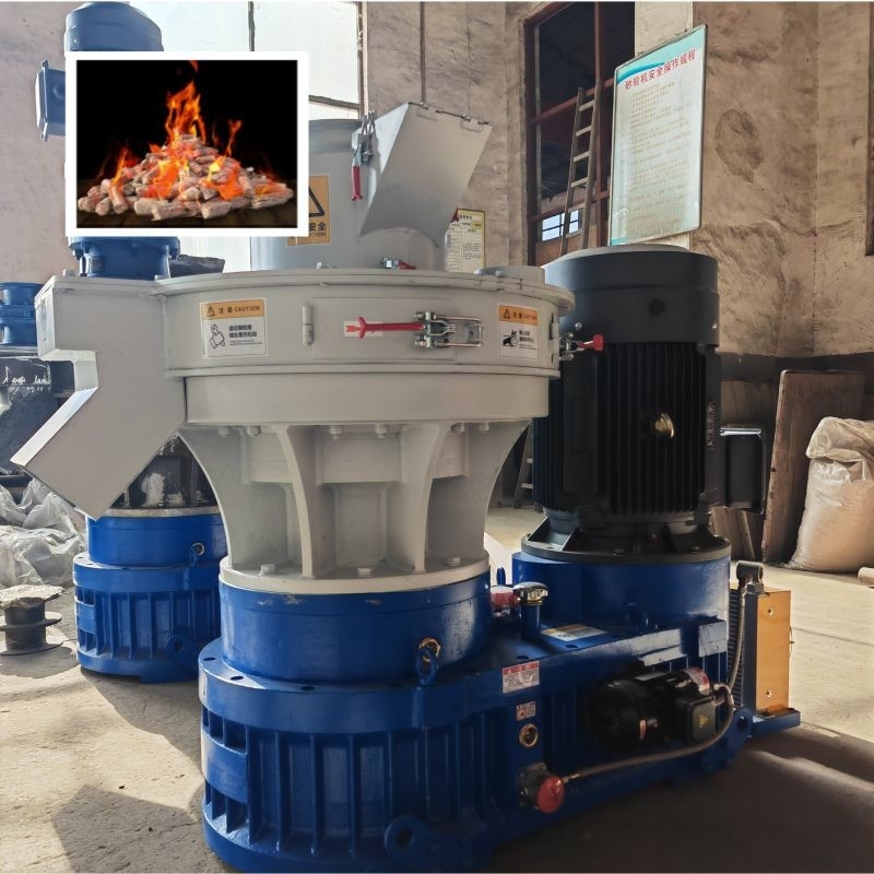 Agricoltura e trasformazione dei rifiuti industriali resistente all'usura lunga durata di vita grande produzione anello pellets di legno