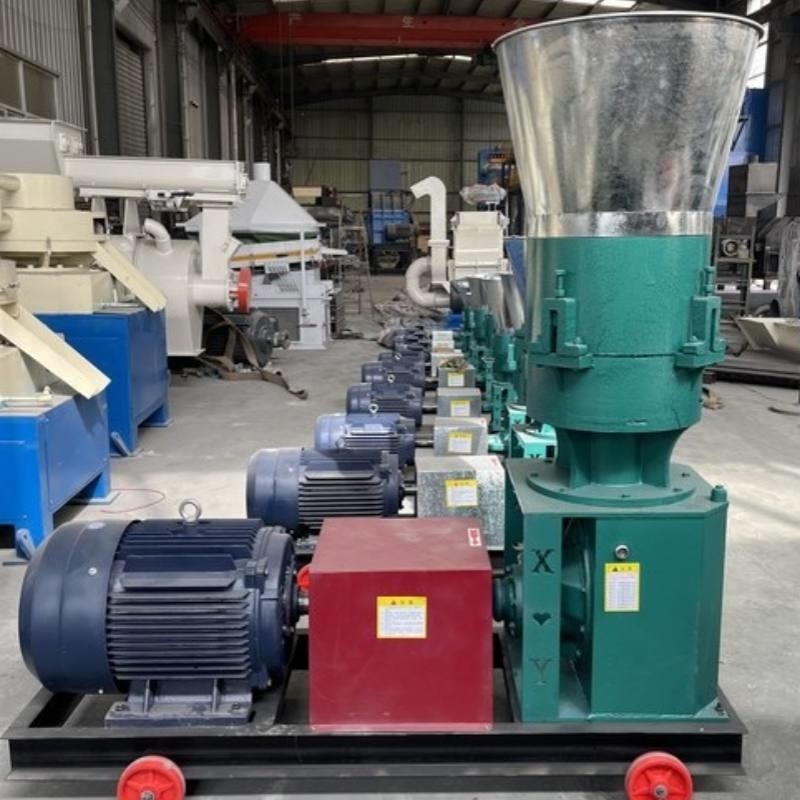 Macchine per la produzione di pellet per la produzione di combustibile a biomassa su larga scala