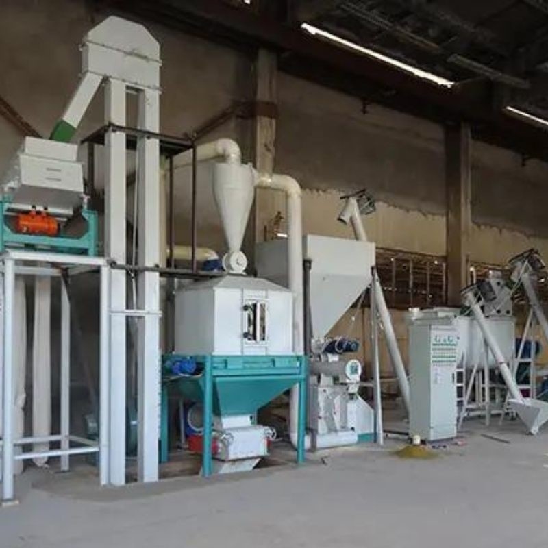Linea di produzione di pellet per mangimi di paglia con dimensioni e efficienza dei pellet da 1 a 20 mm