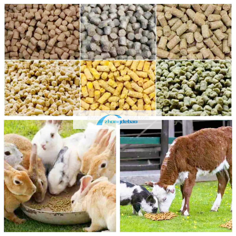 600-800 KG/h di produzione di pesce foraggio per animali fabbrica di pellet per cani e gatti apparecchiature per pelleti alimentari estrusore pelletizzatore macchina