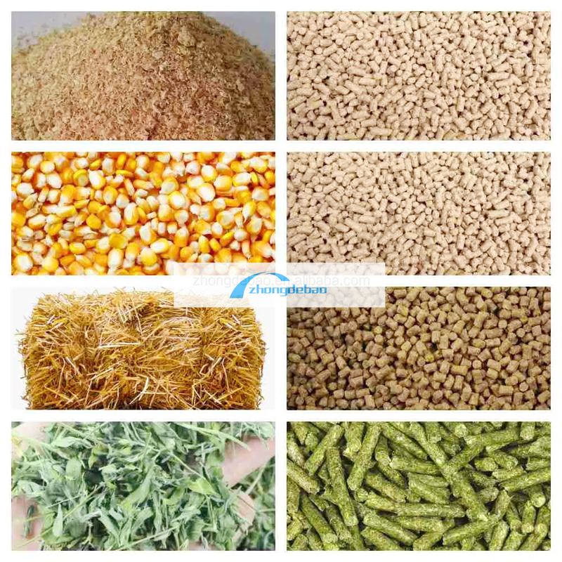 600-800 KG/h di produzione di pesce foraggio per animali fabbrica di pellet per cani e gatti apparecchiature per pelleti alimentari estrusore pelletizzatore macchina
